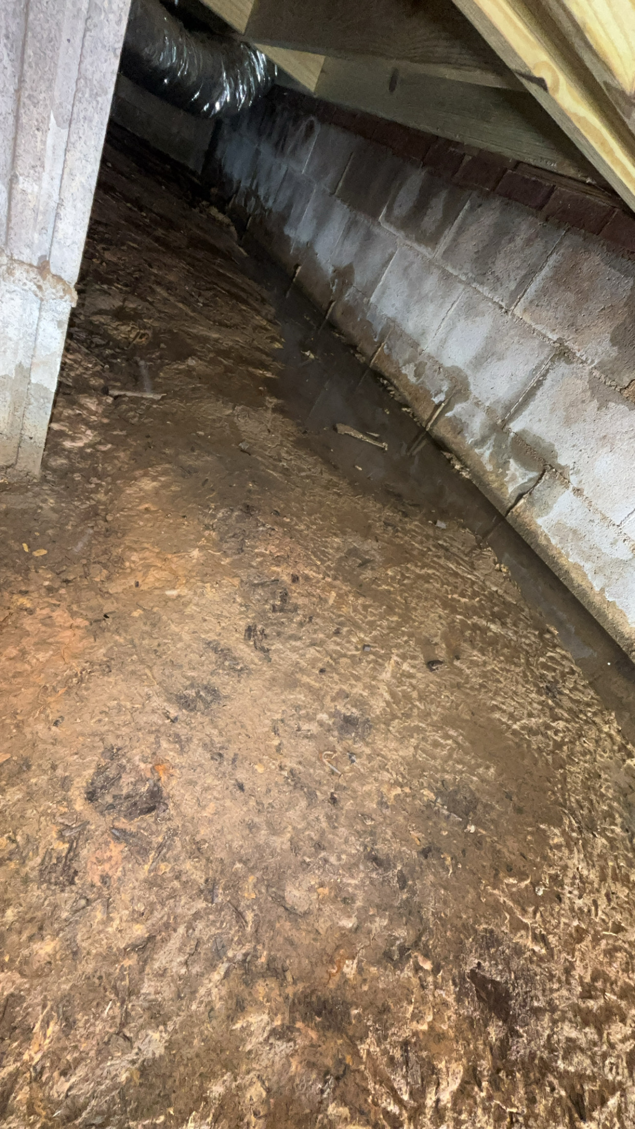 Crawl Space Dehumidification in Gastonia NC